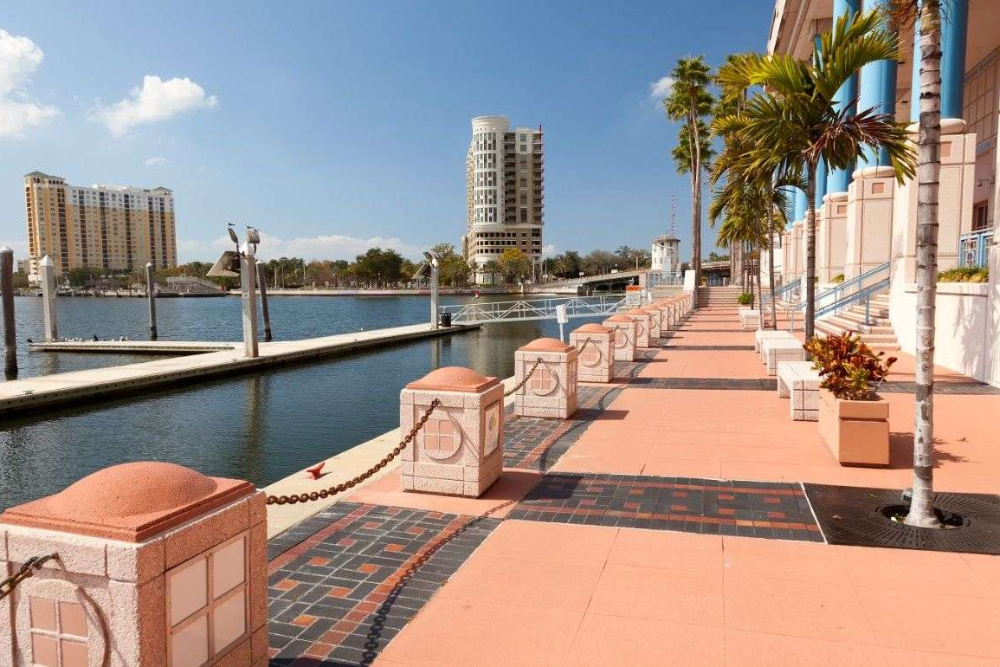 Promenade along a calm marina with pink-tiled walkway, palm trees, and modern buildings in the background on a sunny day